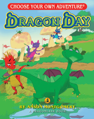Choose Your Own Adventure Dragon Day