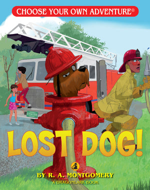 Choose Your Own Adventure Lost Dog!