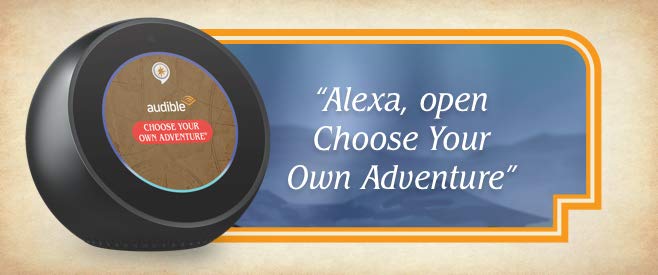 Choose Your Own Adventure: An Audible Experience