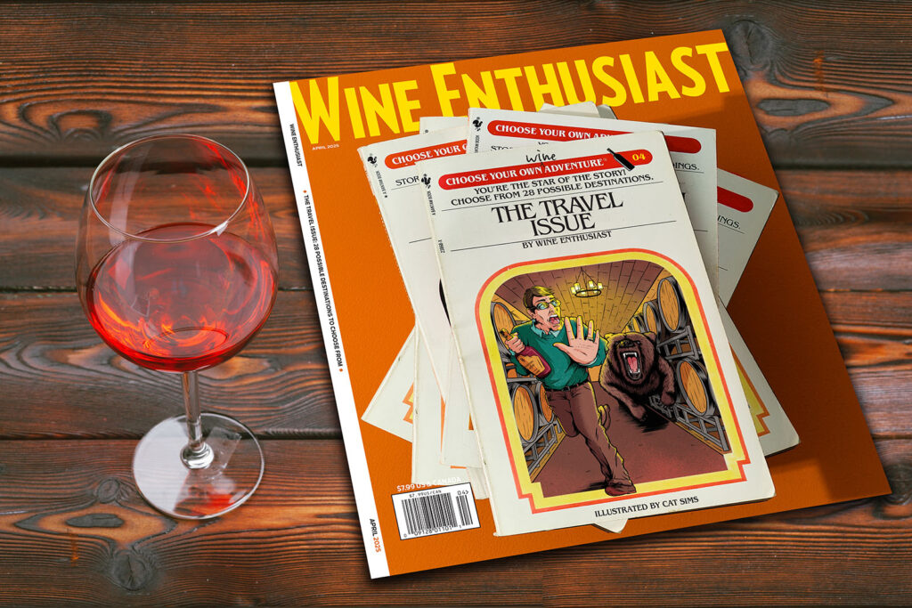 Wine Enthusiasts Magazine feature of Choose Your Own Adventure